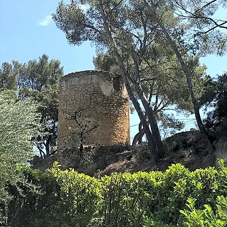 Du Moulin ホームステイ